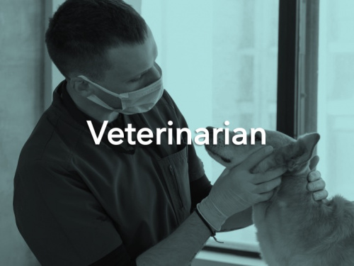 Vet